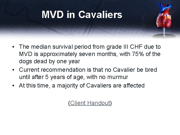 MVD in Cavaliers • The median survival period from grade III CHF due to