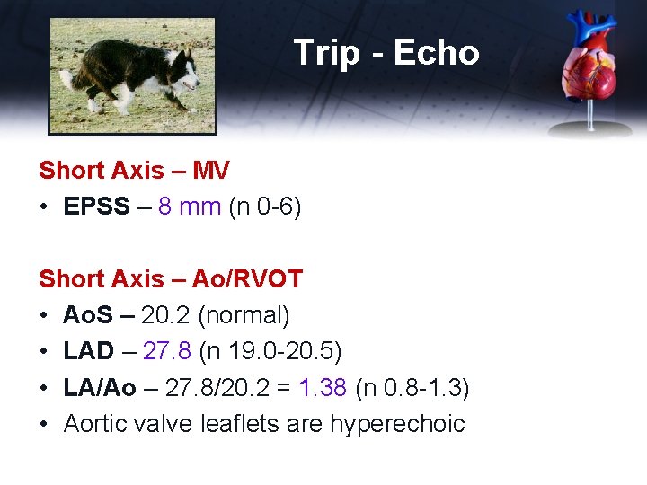 Trip - Echo Short Axis – MV • EPSS – 8 mm (n 0