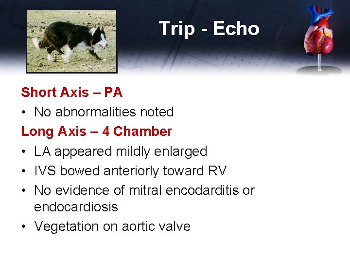 Trip - Echo Short Axis – PA • No abnormalities noted Long Axis –