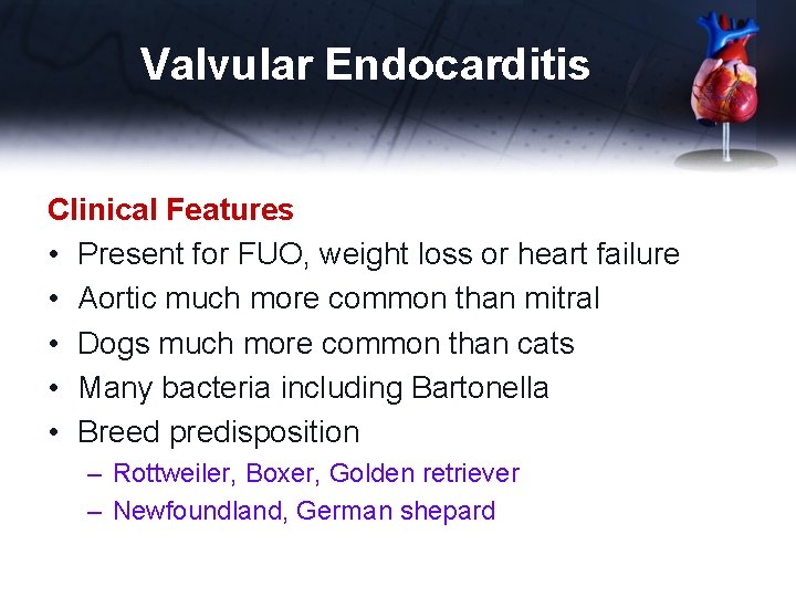 Valvular Endocarditis Clinical Features • Present for FUO, weight loss or heart failure •