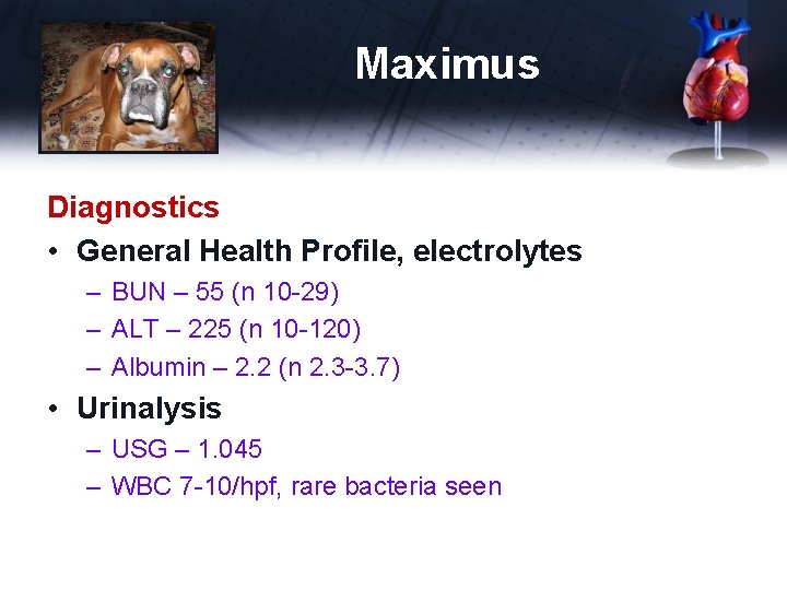 Maximus Diagnostics • General Health Profile, electrolytes – BUN – 55 (n 10 -29)