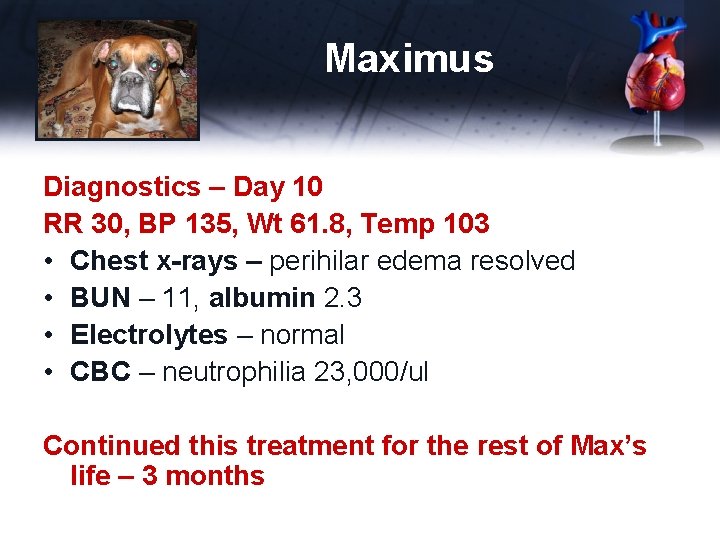 Maximus Diagnostics – Day 10 RR 30, BP 135, Wt 61. 8, Temp 103