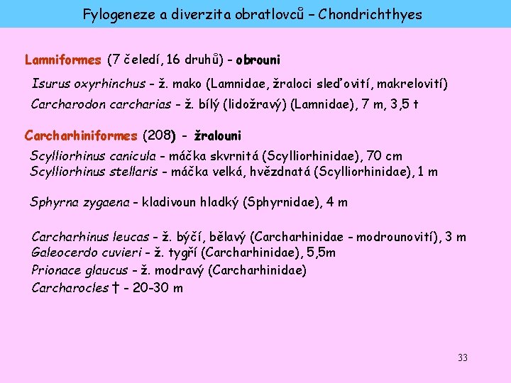 Fylogeneze a diverzita obratlovců – Chondrichthyes Lamniformes (7 čeledí, 16 druhů) - obrouni Isurus