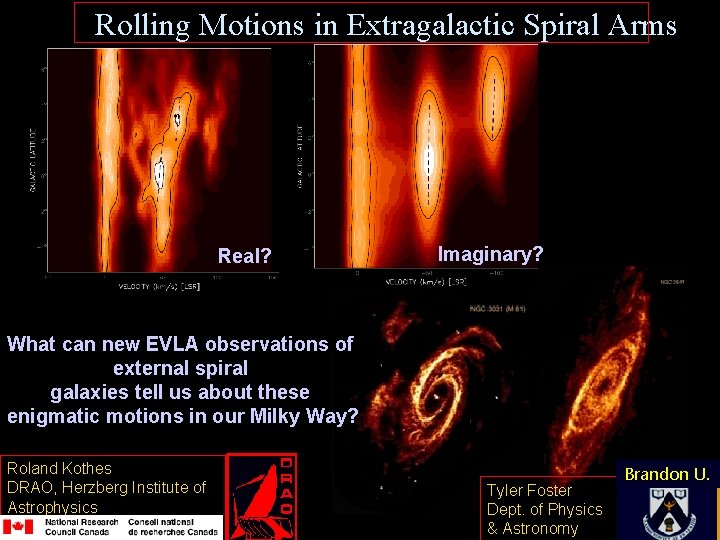 Rolling Motions in Extragalactic Spiral Arms Real? Imaginary? What can new EVLA observations of