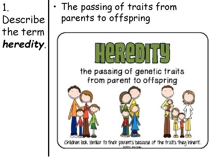  • The passing of traits from 1. parents to offspring Describe the term
