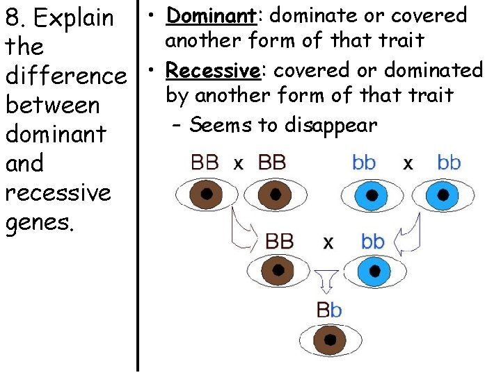 8. Explain • Dominant: dominate or covered another form of that trait the difference 8. Explain • Dominant: dominate or covered another form of that trait the difference