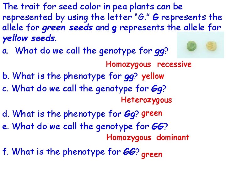 The trait for seed color in pea plants can be represented by using the