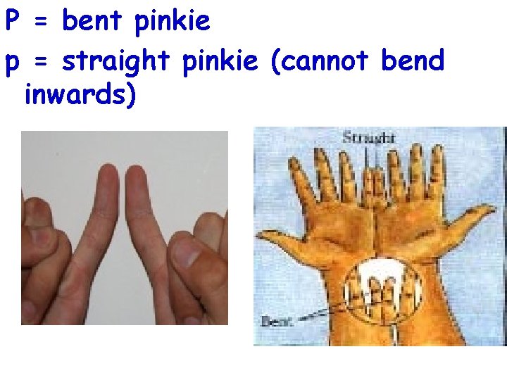 P = bent pinkie p = straight pinkie (cannot bend inwards) 