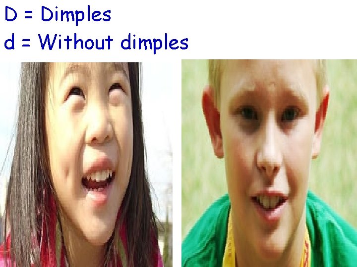 D = Dimples d = Without dimples 