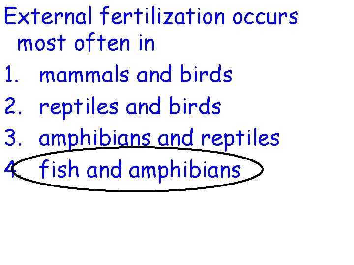 External fertilization occurs most often in 1. mammals and birds 2. reptiles and birds