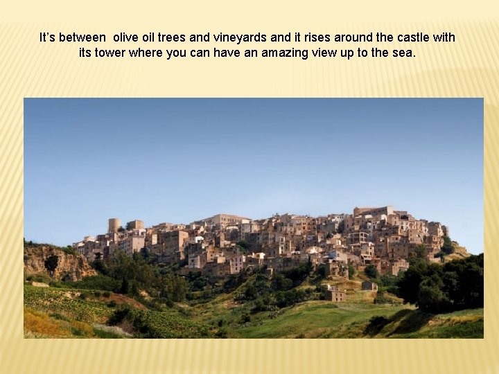 It’s between olive oil trees and vineyards and it rises around the castle with