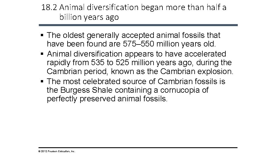 18. 2 Animal diversification began more than half a billion years ago § The