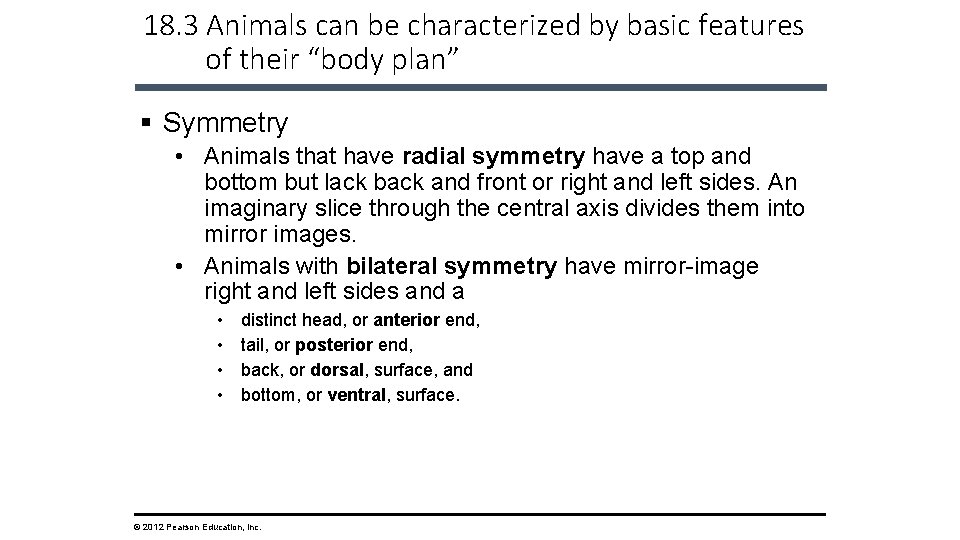 18. 3 Animals can be characterized by basic features of their “body plan” §