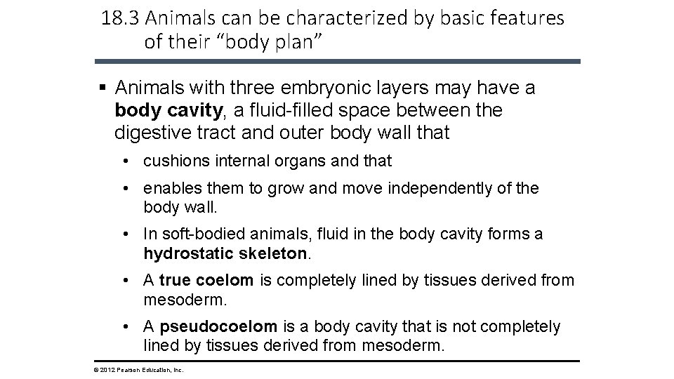 18. 3 Animals can be characterized by basic features of their “body plan” §