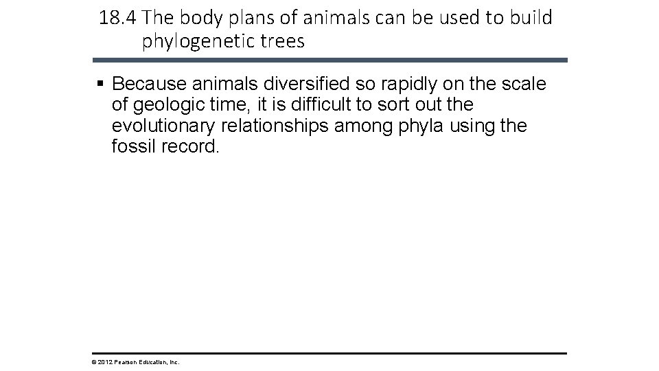 18. 4 The body plans of animals can be used to build phylogenetic trees