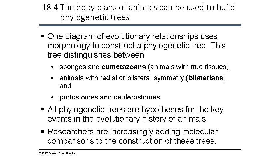 18. 4 The body plans of animals can be used to build phylogenetic trees