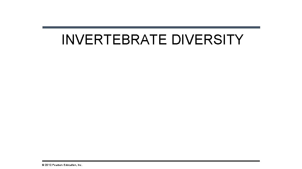 INVERTEBRATE DIVERSITY © 2012 Pearson Education, Inc. 