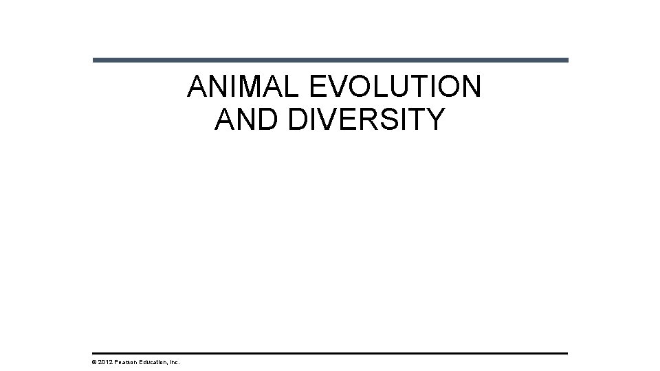 ANIMAL EVOLUTION AND DIVERSITY © 2012 Pearson Education, Inc. 