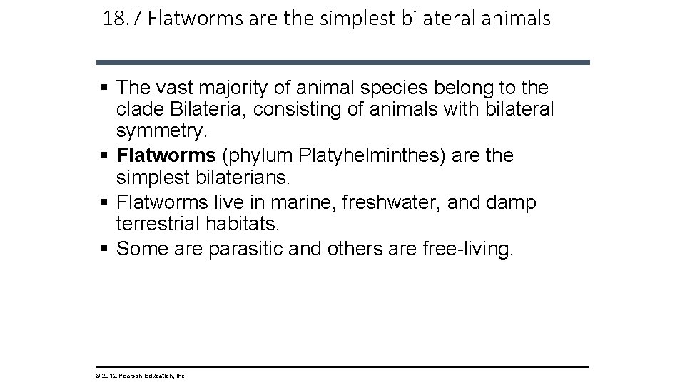 18. 7 Flatworms are the simplest bilateral animals § The vast majority of animal