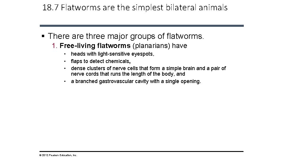 18. 7 Flatworms are the simplest bilateral animals § There are three major groups