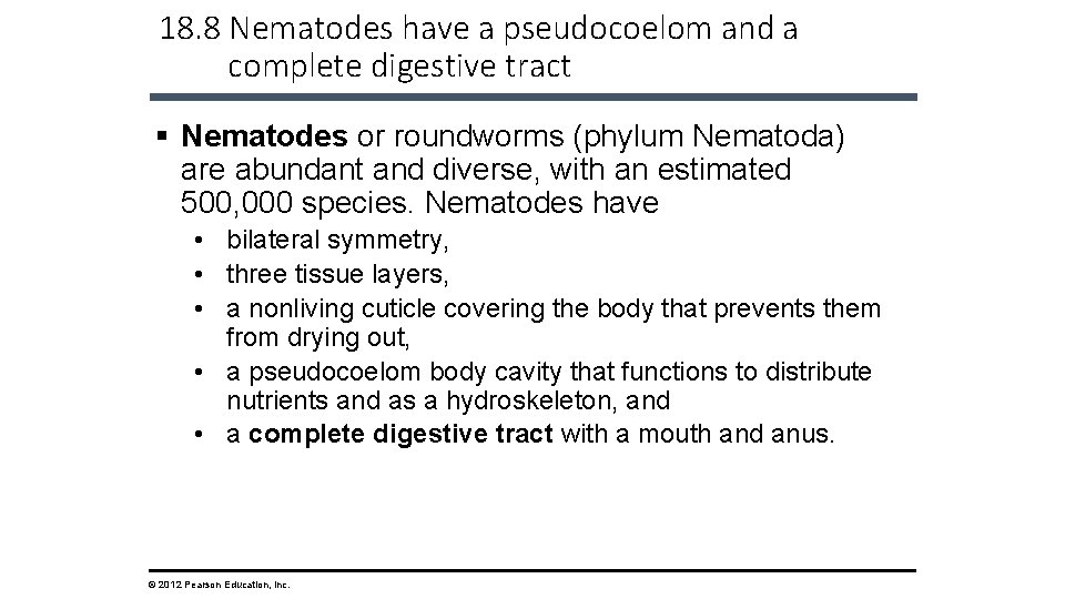 18. 8 Nematodes have a pseudocoelom and a complete digestive tract § Nematodes or