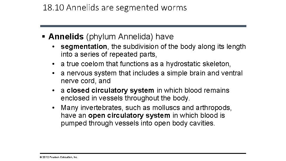 18. 10 Annelids are segmented worms § Annelids (phylum Annelida) have • segmentation, the