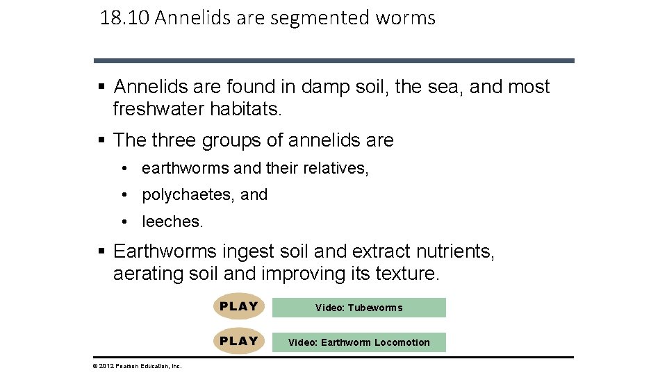 18. 10 Annelids are segmented worms § Annelids are found in damp soil, the