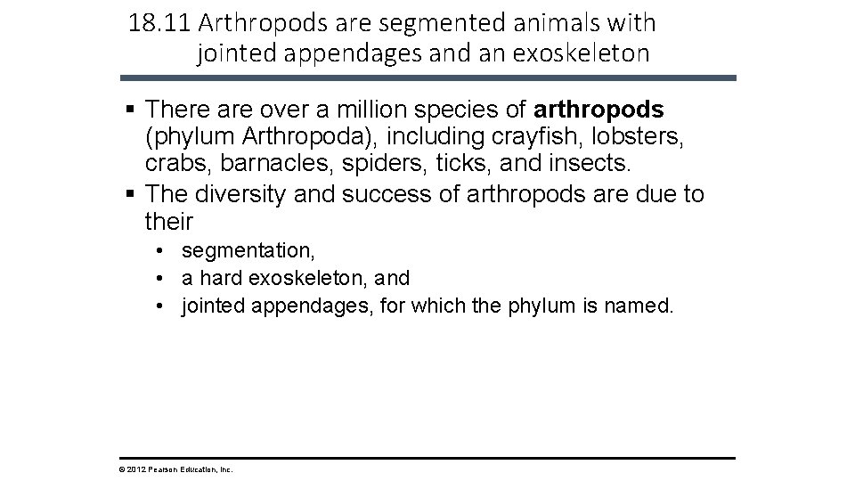 18. 11 Arthropods are segmented animals with jointed appendages and an exoskeleton § There