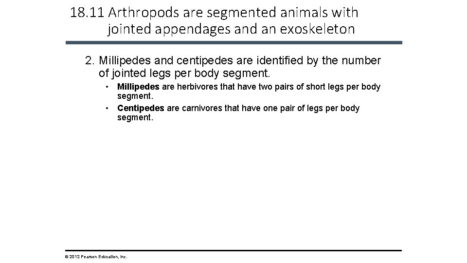 18. 11 Arthropods are segmented animals with jointed appendages and an exoskeleton 2. Millipedes