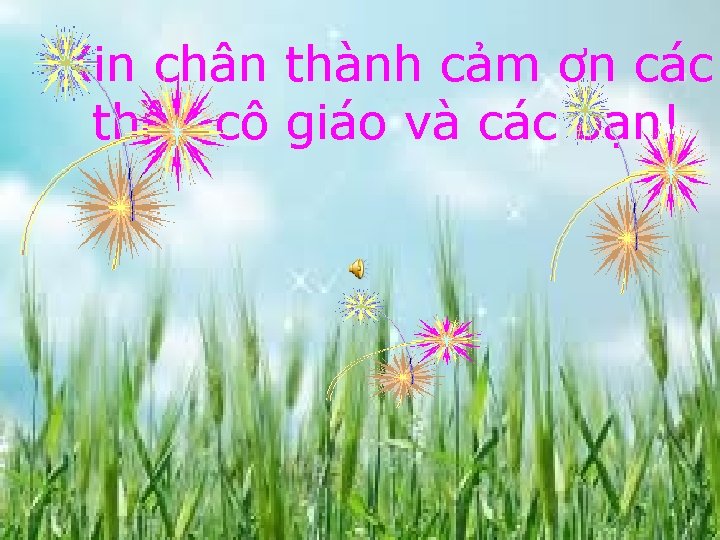 Xin chân thành cảm ơn các thầy cô giáo và các bạn! 