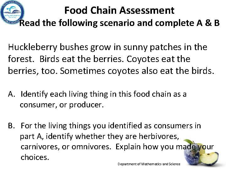 Food Chain Assessment Read the following scenario and complete A & B Huckleberry bushes