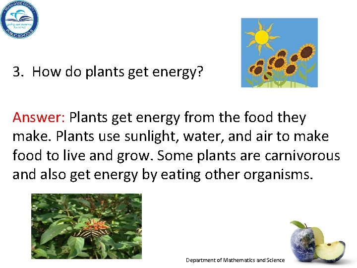 3. How do plants get energy? Answer: Plants get energy from the food they