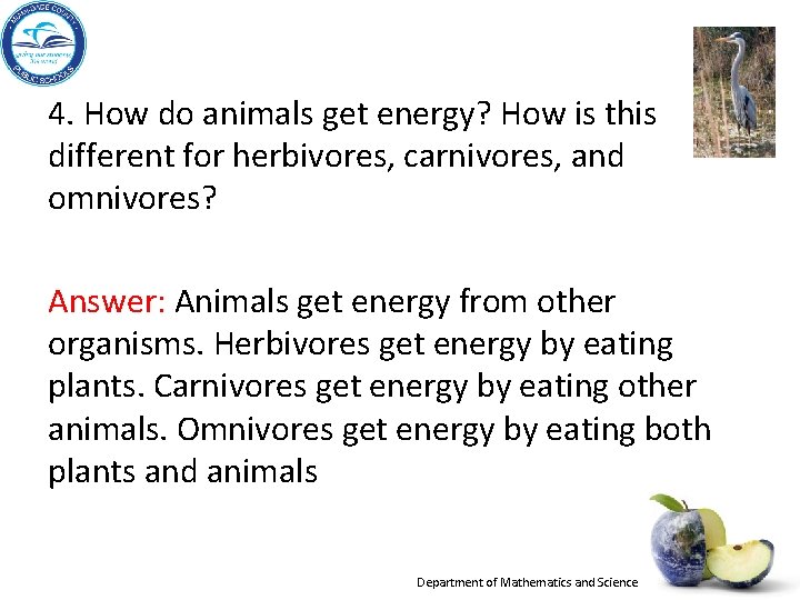 4. How do animals get energy? How is this different for herbivores, carnivores, and