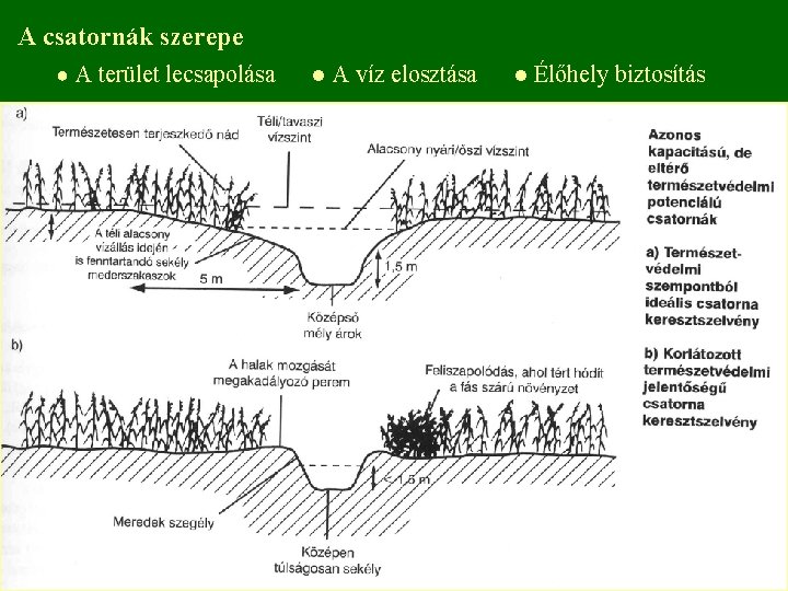 A csatornák szerepe ● A terület lecsapolása ● A víz elosztása ● Élőhely biztosítás