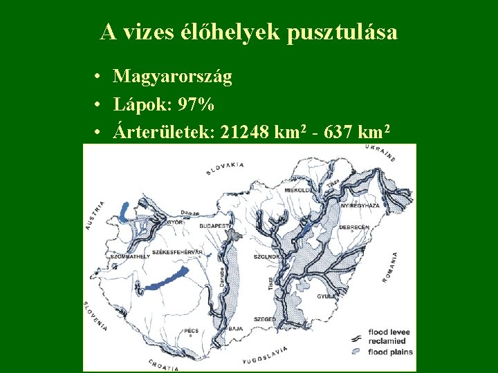 A vizes élőhelyek pusztulása • Magyarország • Lápok: 97% • Árterületek: 21248 km 2