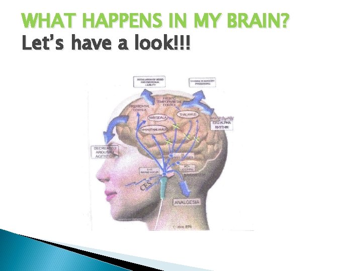 WHAT HAPPENS IN MY BRAIN? Let’s have a look!!! 