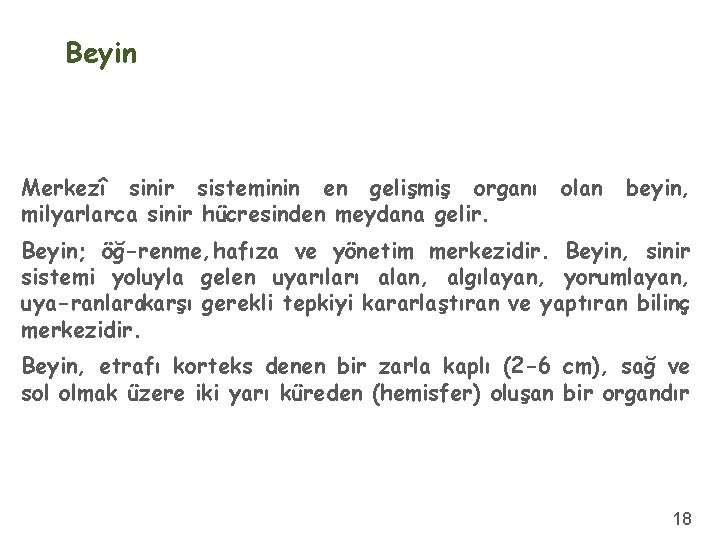 Beyin Merkezî sinir sisteminin en gelişmiş organı milyarlarca sinir hücresinden meydana gelir. olan beyin,
