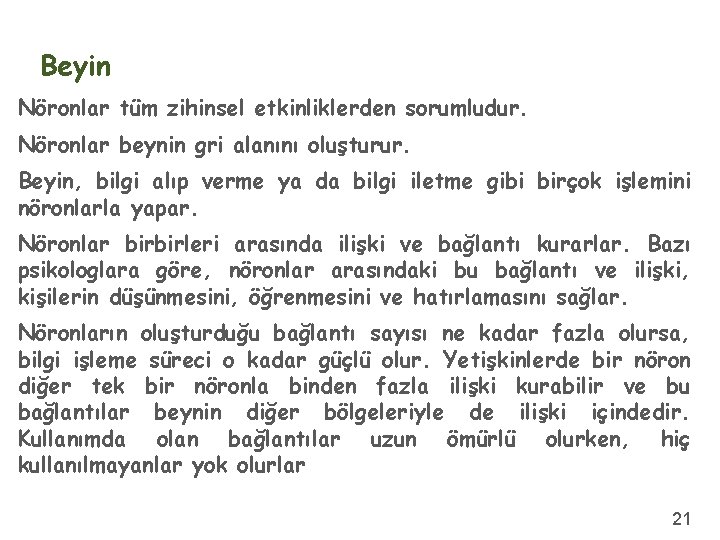 Beyin Nöronlar tüm zihinsel etkinliklerden sorumludur. Nöronlar beynin gri alanını oluşturur. Beyin, bilgi alıp