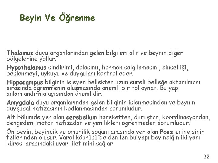 Beyin Ve Öğrenme Thalamus duyu organlarından gelen bilgileri alır ve beynin diğer bölgelerine yollar.