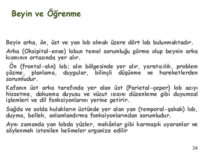 Beyin ve Öğrenme Beyin arka, ön, üst ve yan lob olmak üzere dört lob