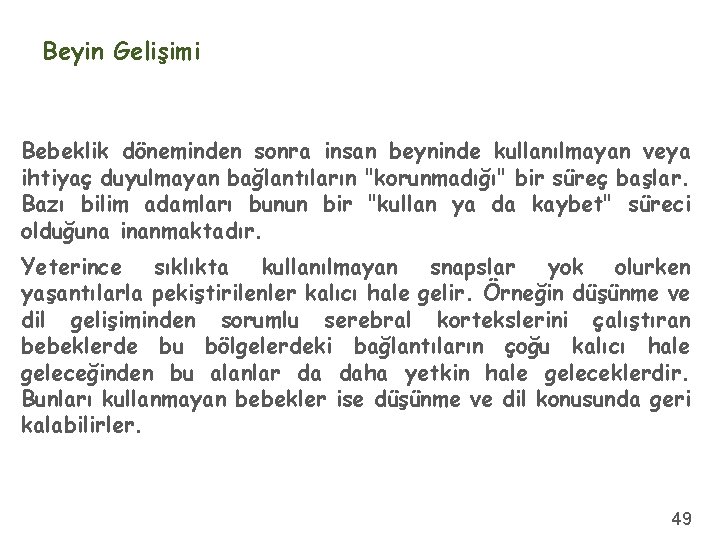 Beyin Gelişimi Bebeklik döneminden sonra insan beyninde kullanılmayan veya ihtiyaç duyulmayan bağlantıların "korunmadığı" bir