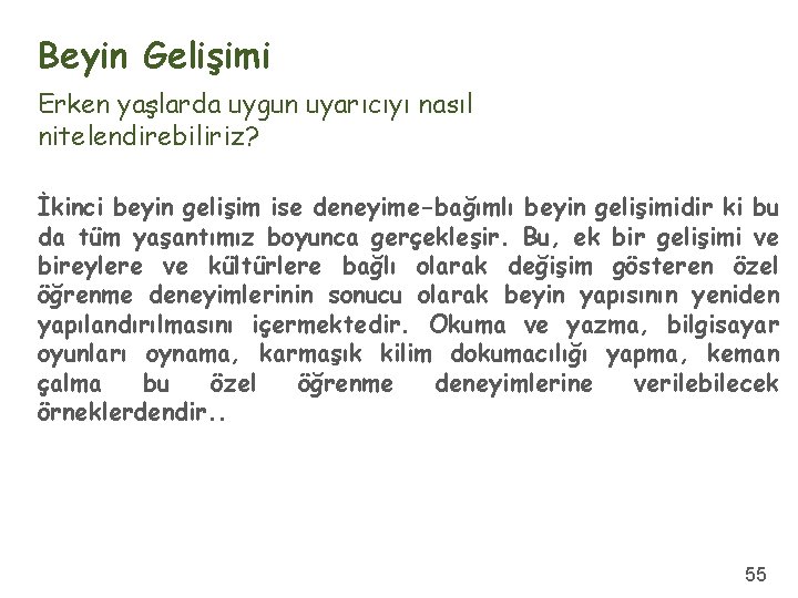 Beyin Gelişimi Erken yaşlarda uygun uyarıcıyı nasıl nitelendirebiliriz? İkinci beyin gelişim ise deneyime-bağımlı beyin