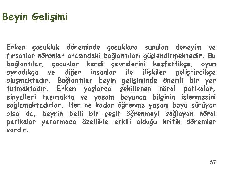 Beyin Gelişimi Erken çocukluk döneminde çocuklara sunulan deneyim ve fırsatlar nöronlar arasındaki bağlantıları güçlendirmektedir.