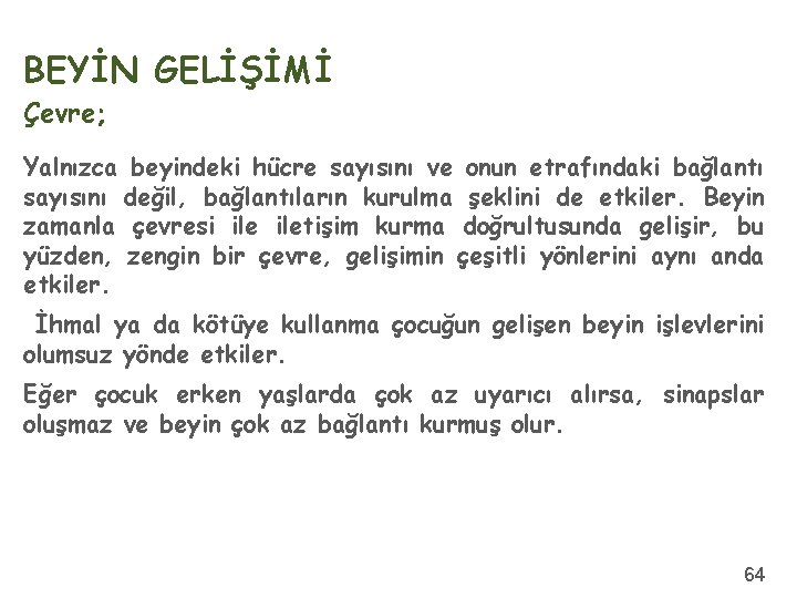 BEYİN GELİŞİMİ Çevre; Yalnızca beyindeki hücre sayısını ve onun etrafındaki bağlantı sayısını değil, bağlantıların