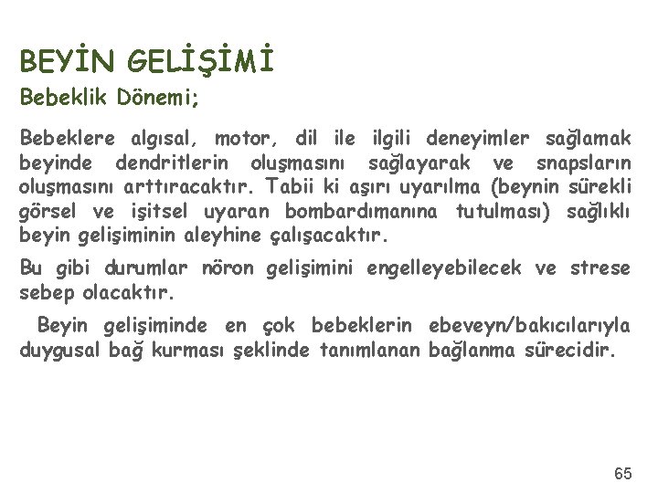 BEYİN GELİŞİMİ Bebeklik Dönemi; Bebeklere algısal, motor, dil ile ilgili deneyimler sağlamak beyinde dendritlerin