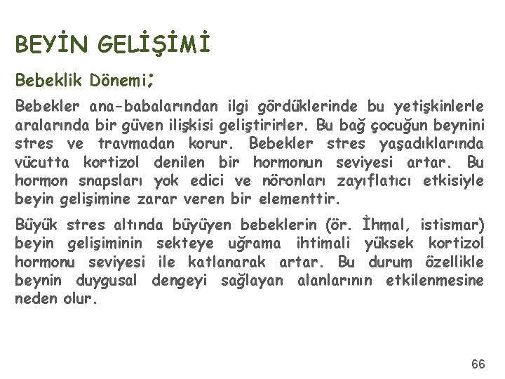 BEYİN GELİŞİMİ Bebeklik Dönemi; Bebekler ana-babalarından ilgi gördüklerinde bu yetişkinlerle aralarında bir güven ilişkisi