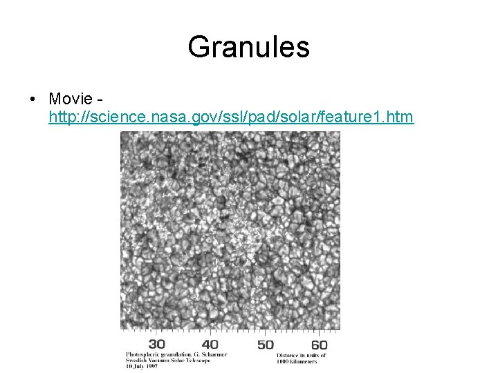 Granules • Movie http: //science. nasa. gov/ssl/pad/solar/feature 1. htm 