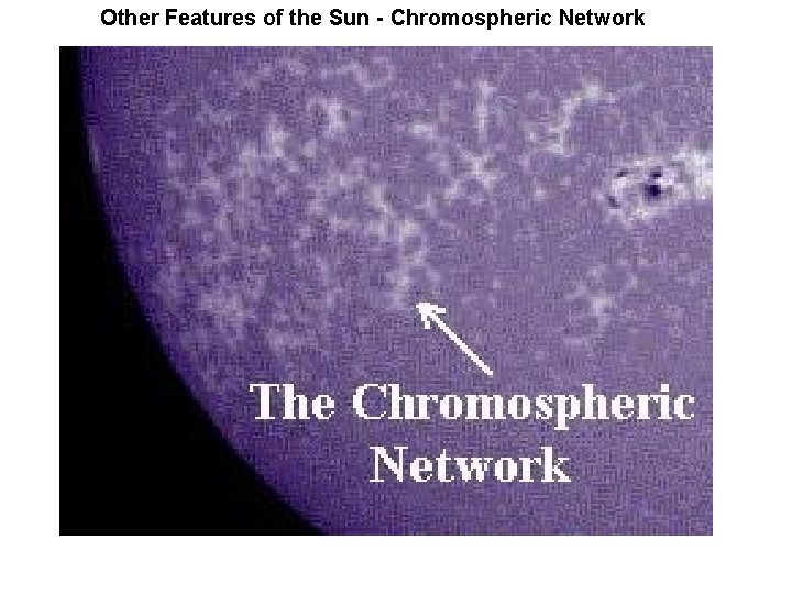 Other Features of the Sun - Chromospheric Network 