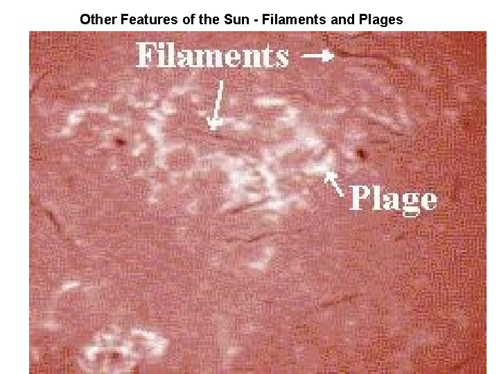 Other Features of the Sun - Filaments and Plages 