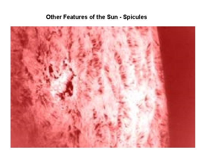 Other Features of the Sun - Spicules 